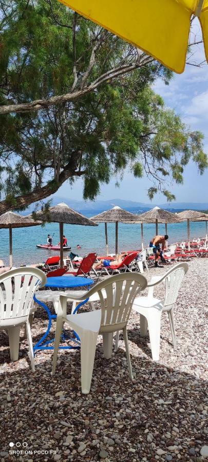 Koralli Beach Niforeika Dış mekan fotoğraf